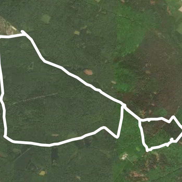 Waldeck House to Friedwald walking route map in Lohmar