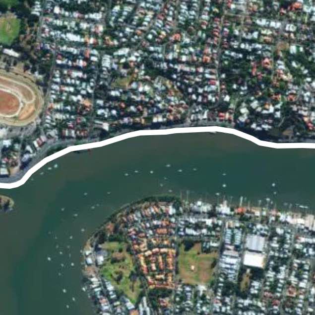 부자동네 해밀튼 뛰기