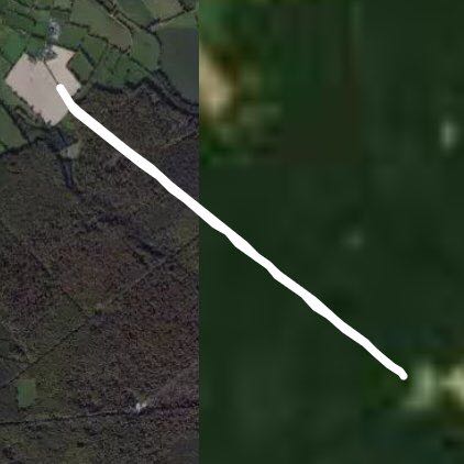 Forêt de Cerisy