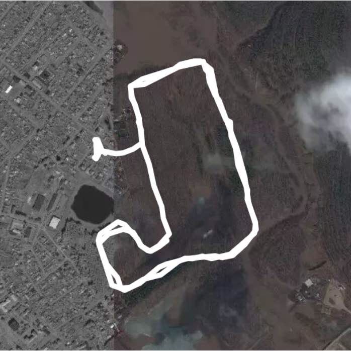 Лесопосадка ходьба перед бегом