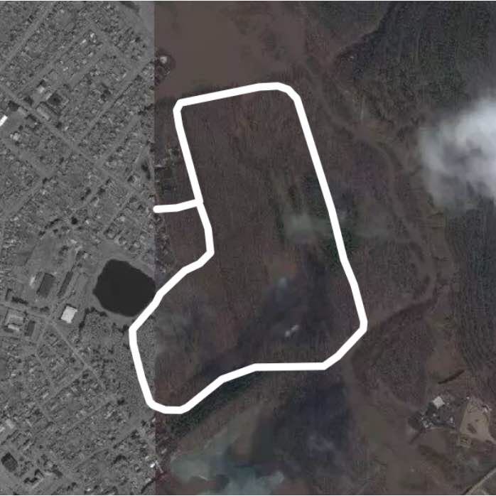 Лесопосадка