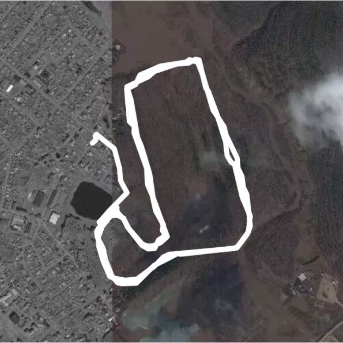 Лесопосадка