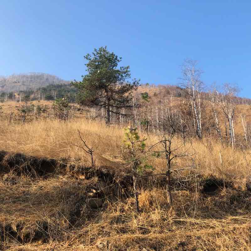 Ancient road to Lanzo walking route map in Balangero