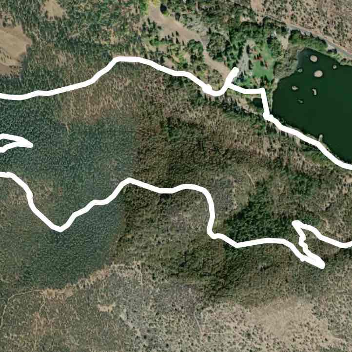 Humbug and AARP Trails at Greenhorn Park