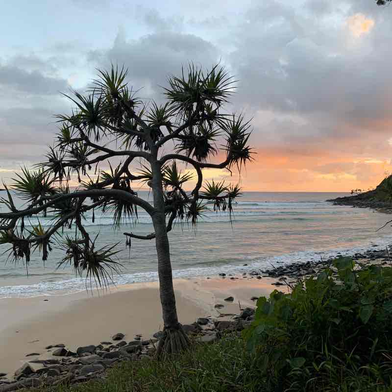 Noosa national park