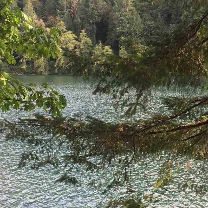 Country Road Van Duzen walking route map in Carlotta