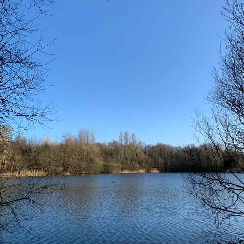 Country park