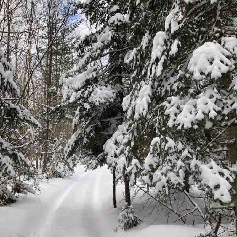 Backdoor Trail walking route map in Manistique