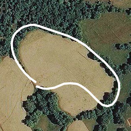 My backyard Field walking route map in Columbia