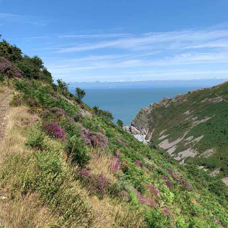Heddon Valley Coastal Trail walking route map in Martinhoe