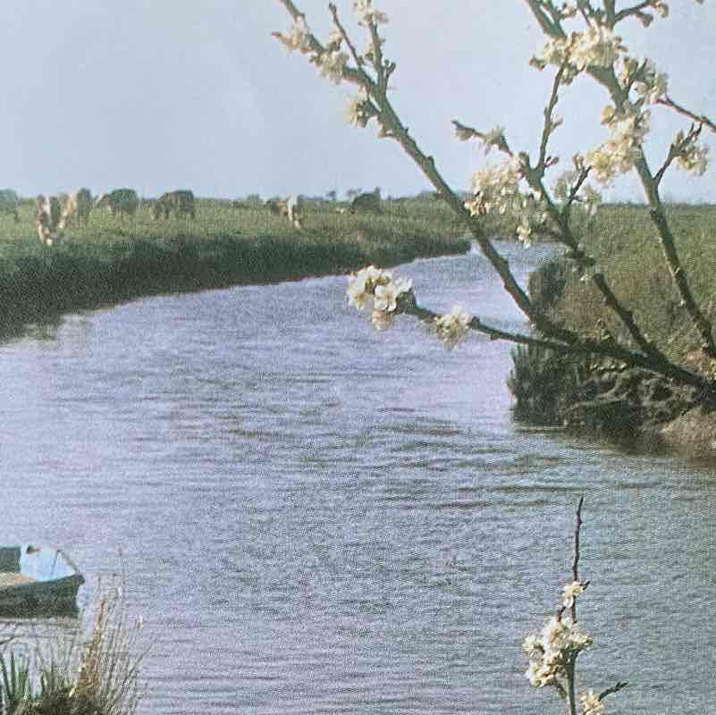 Le sentier des roseaux