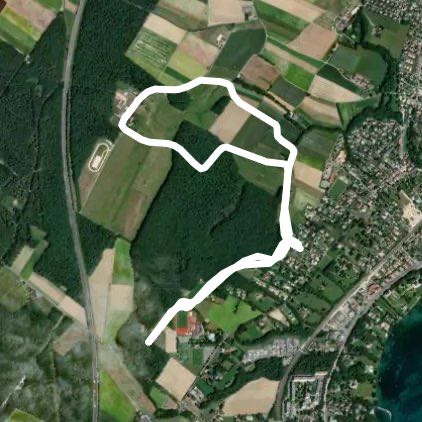 Man in the forest walking route map in Mies