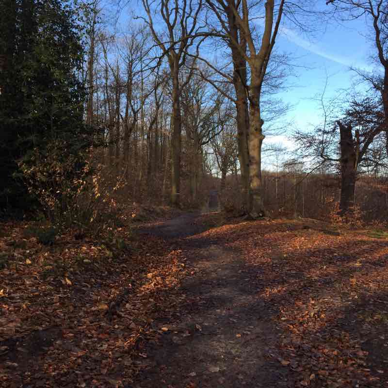 The selvedges walking route map in Bouffémont