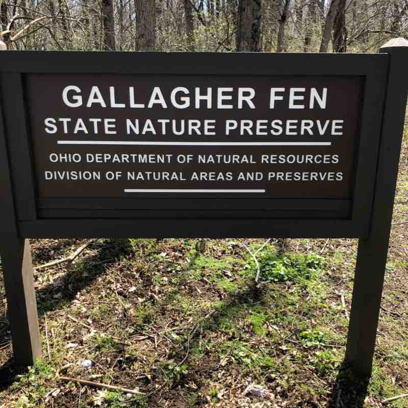 Gallagher Fen