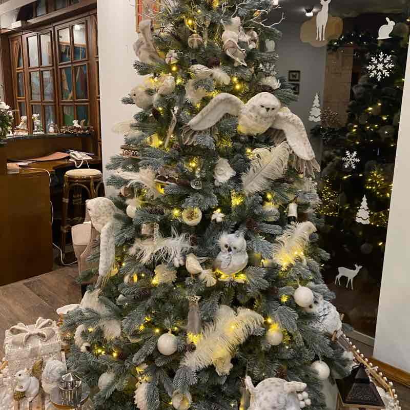 С сумками домой