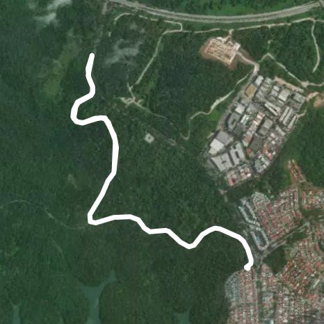 Upper Thomson Reuters road