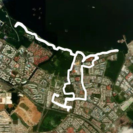 Pasir Ris routine 36