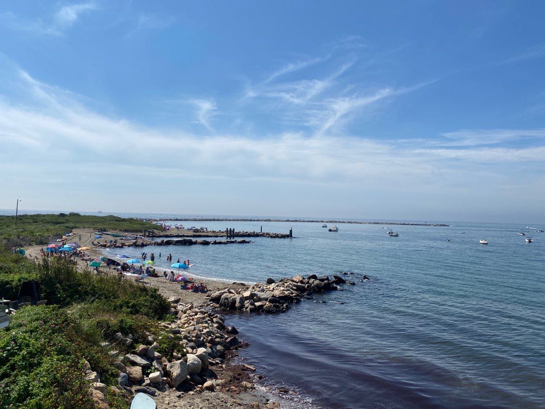 walking near me in Rose Nulman Park in winter