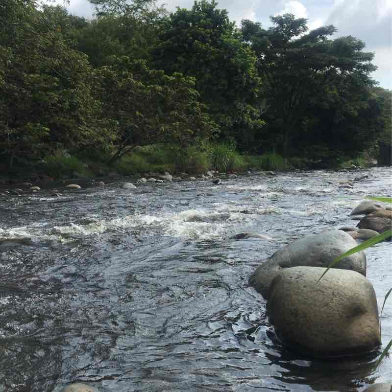 Pance en bicicleta 🚴