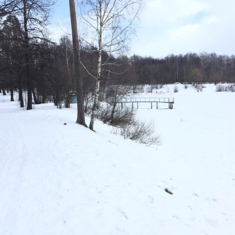 Парк Лосиный остров