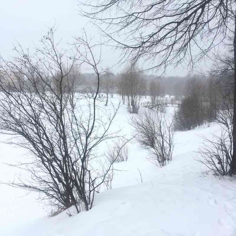 Гольяново