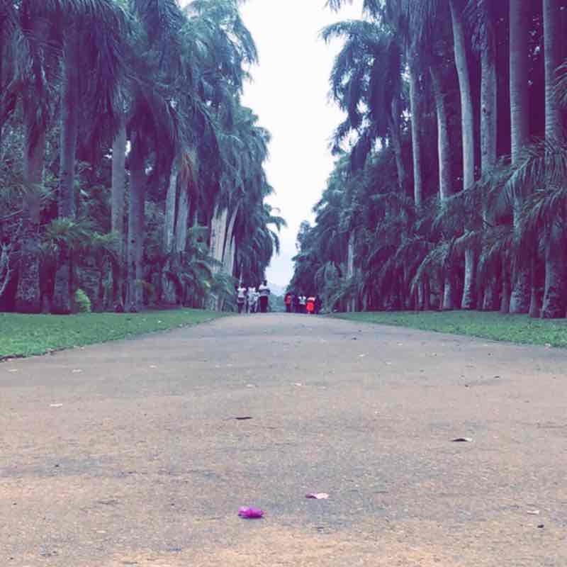 ممشى زقرتيّة السويدي 🤞🏼