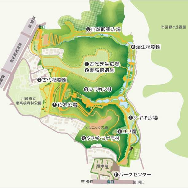 東高根森林公園周回ルート×2