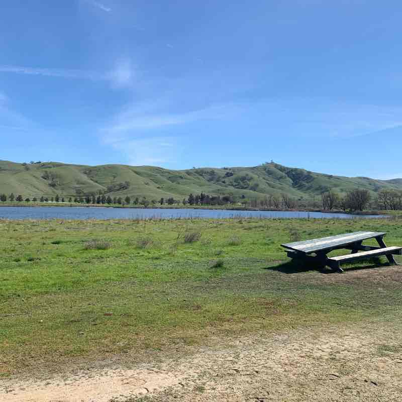 Kelly’s Up, Down, and Around