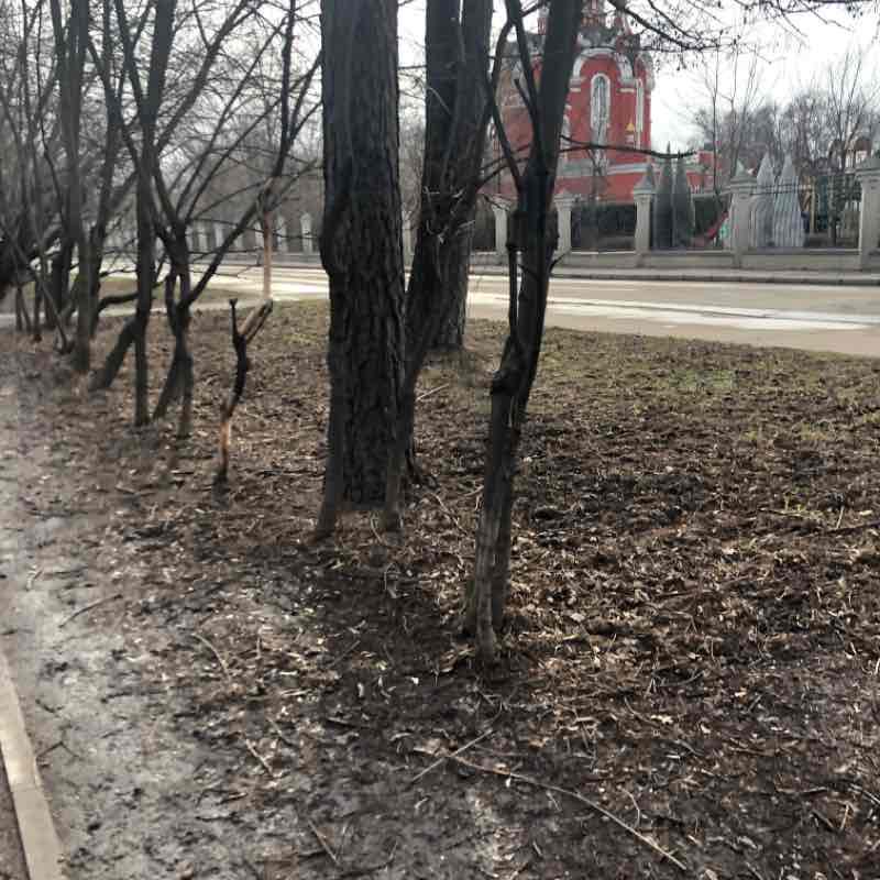 Петровский парк