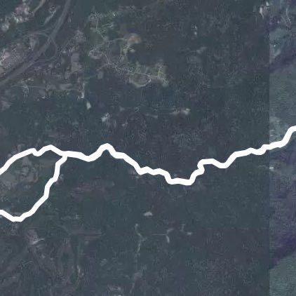 關西高中-蓮花世界