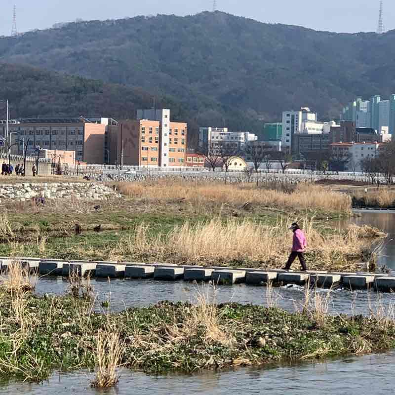 경산남천