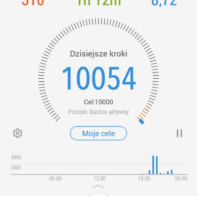 Anka Szamanka post 1