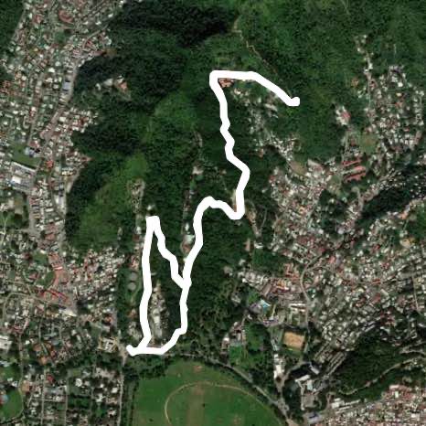 Chancellor Hill / Botanical Gardens