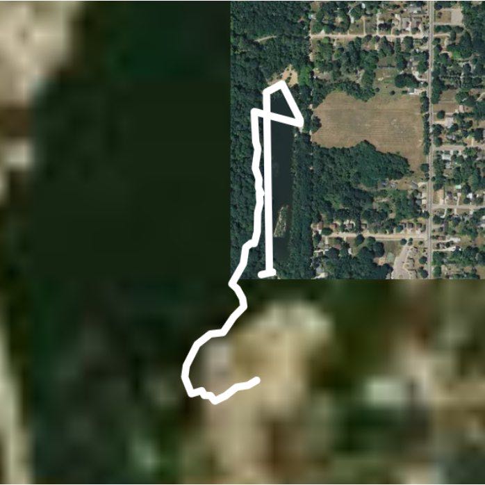 Dog park