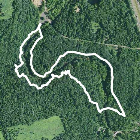 Jacobsburg Park Orange Trail