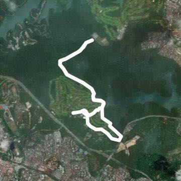 Bukit MacRitchie Tree Top