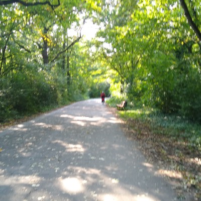 schmidtkatja14 post 3