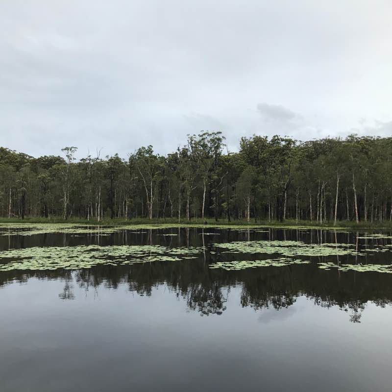 Urunga Wetlands Boardwalk