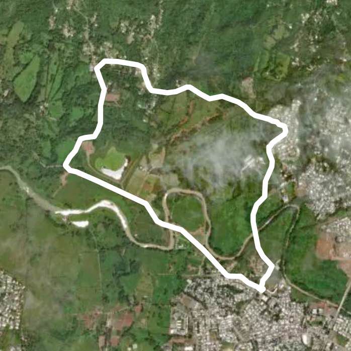 Campo