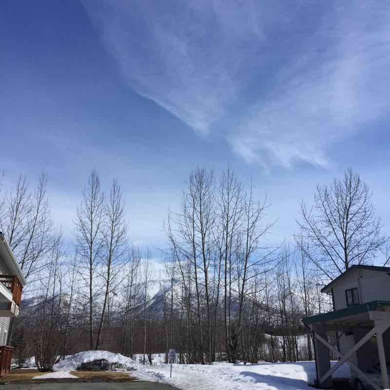 Walk around my neighborhood