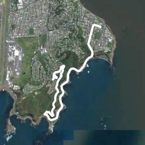 Thursday noon walk