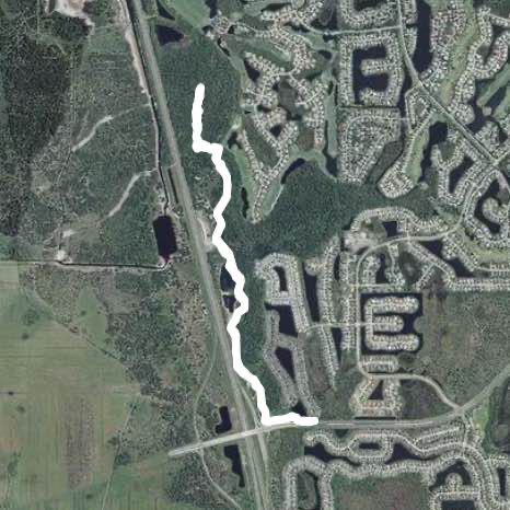 Social distancing walk