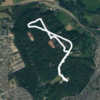 5 kms Forêt de Montgeon