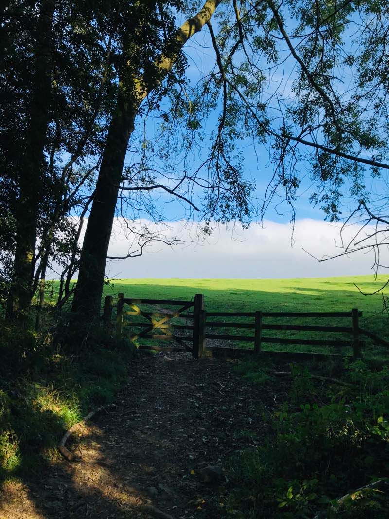 walking near me in Spa Gardens in winter