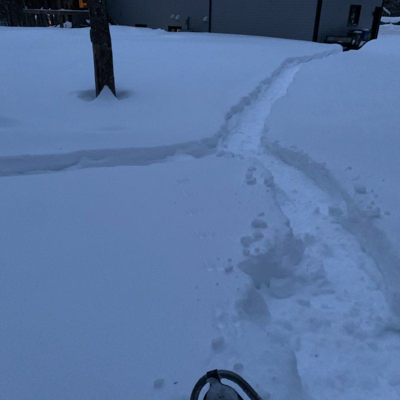 Trail inverse de soir