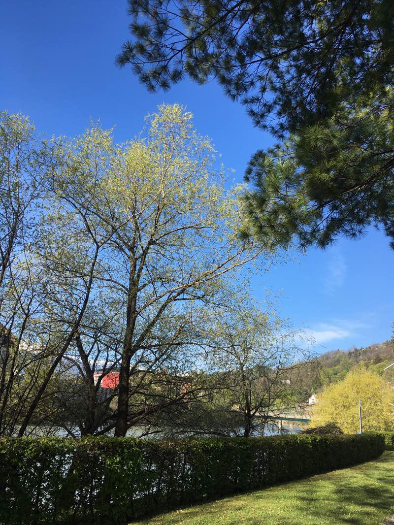 walking near me in Arthur-Haidl-Promenade in winter