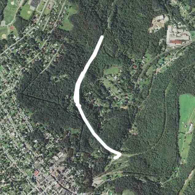 Lucy’s 1st trail ride