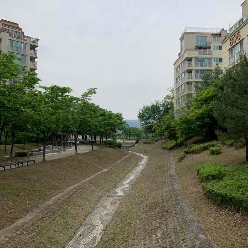 창릉천변 걷기운동