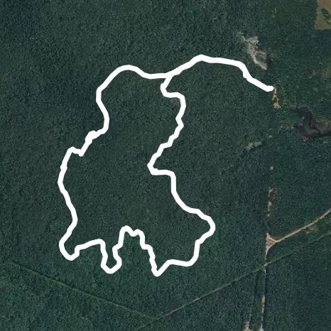 Knob Noster State Park