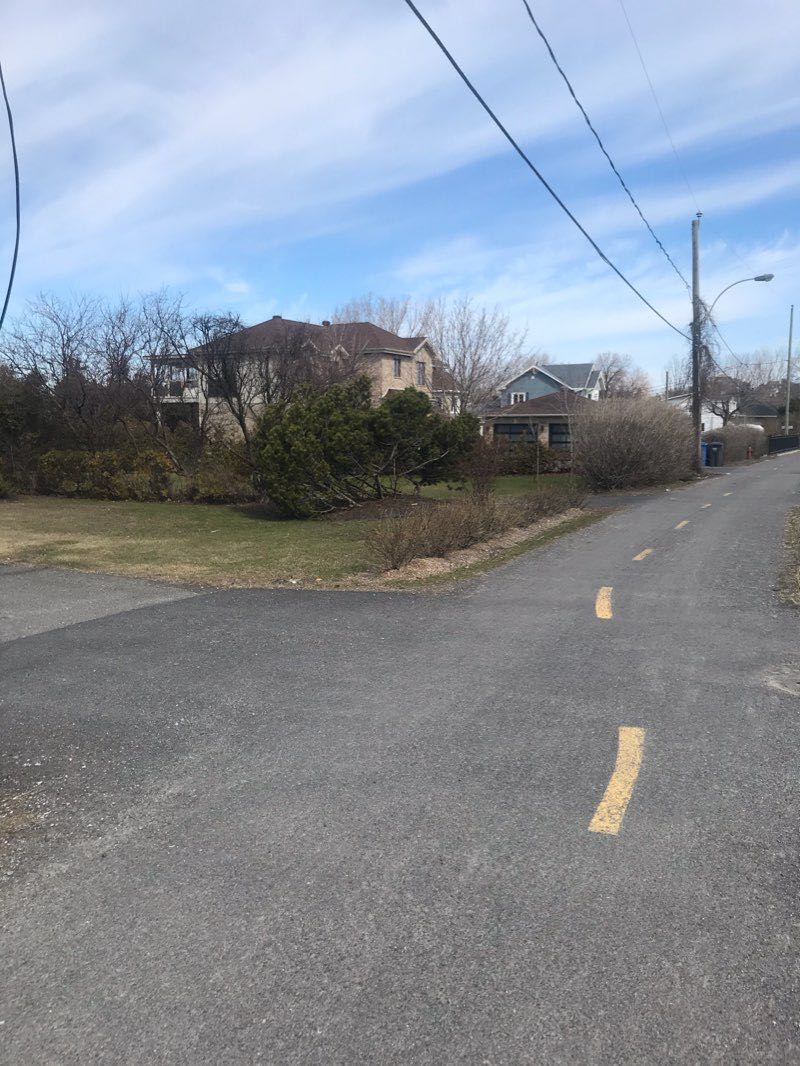 walking near me in Parc Roger in winter